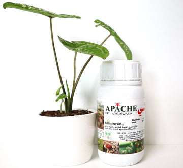 Apache 1.8% EC “Acaricide & Insecticide”