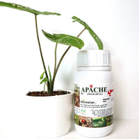 Apache 1.8% EC “Acaricide & Insecticide”