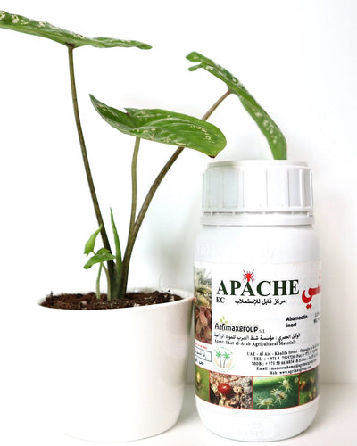 Apache 1.8% EC “Acaricide & Insecticide”