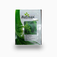 Lettuce Iceberg F1 Premium Seeds