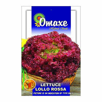 Lettuce “Lollo Rossa” Hybrid Seeds – Omaxe