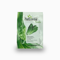 Lettuce Spain Land F1 Premium Quality Seeds