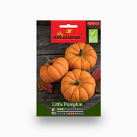 Pumpkin Seeds
