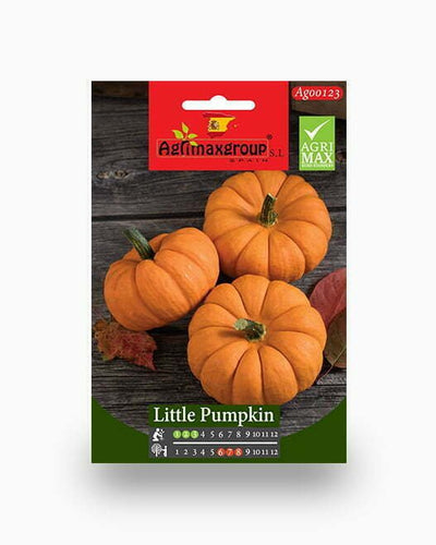Pumpkin Seeds