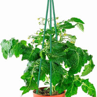 Metal Plant Support Stick Green