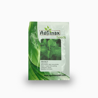 Mint F1 Premium Quality Seeds