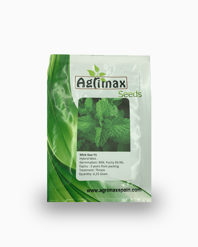Mint F1 Premium Quality Seeds