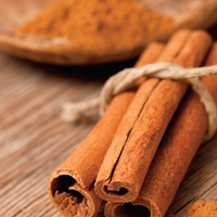 Cinnamon Plant