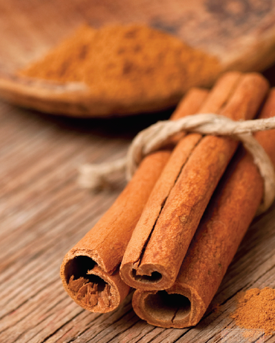 Cinnamon Plant