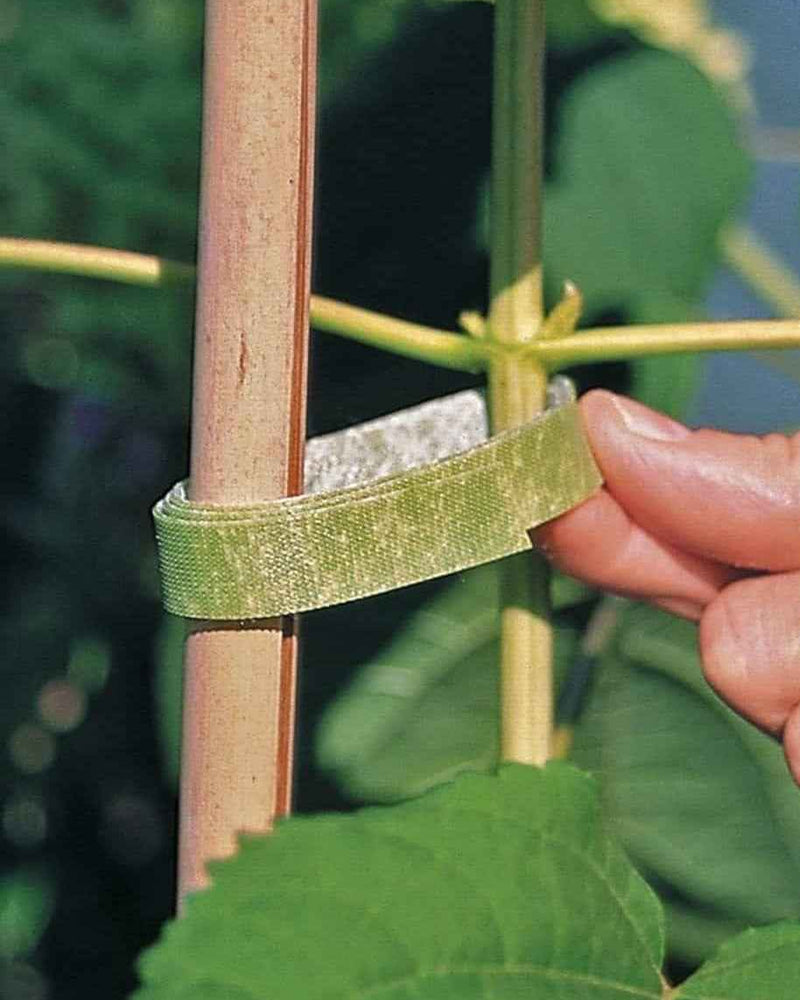 Velcro Plant Tie - 2 m