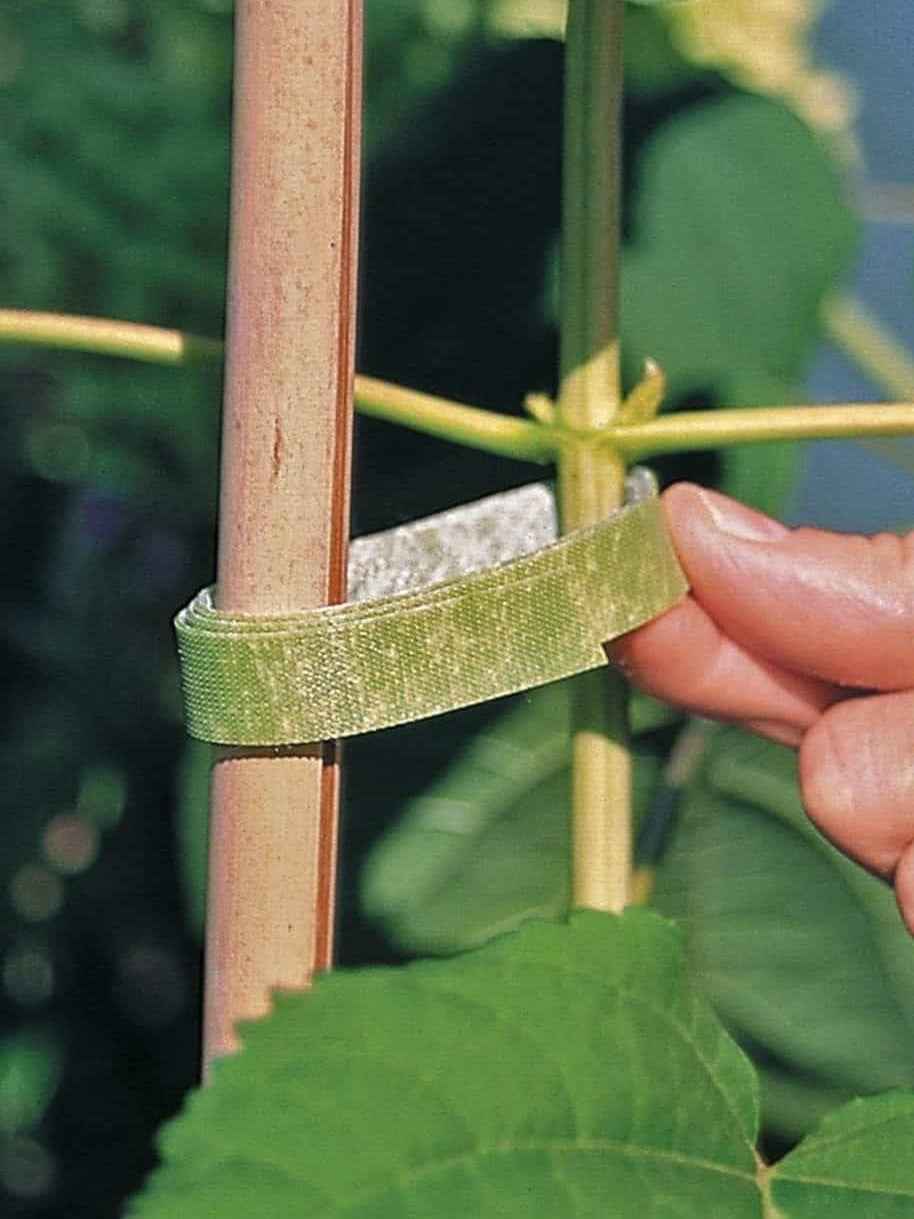 Velcro Plant Tie - 2 m