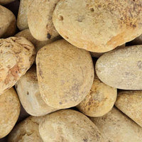 Forest Yellow - Tumbled Pebbles