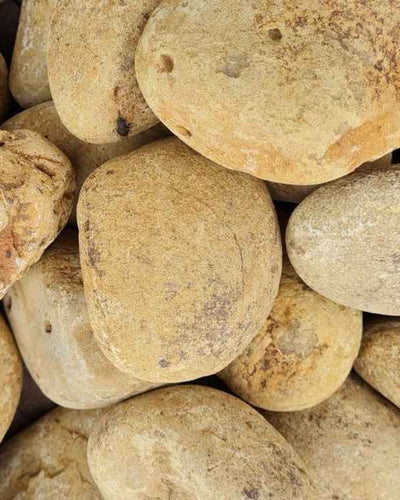 Forest Yellow - Tumbled Pebbles