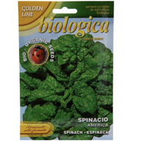 Spinach “Spinacio America” Organic Seeds – Franchi