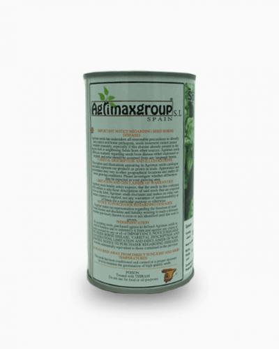 Spinach Viroflay Seeds Tin