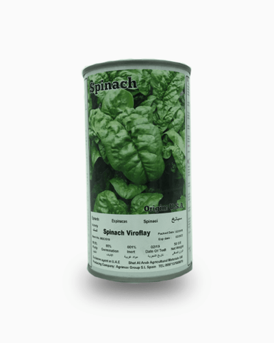 Spinach Viroflay Seeds Tin – Souq Garden Dubai