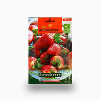 Strawberry Agrimax Seeds