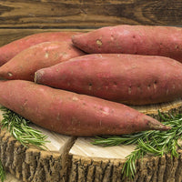 Sweet Potato
