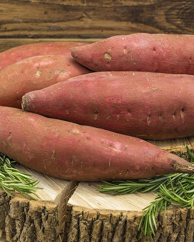 Sweet Potato