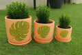 Terracotta Pots - 001