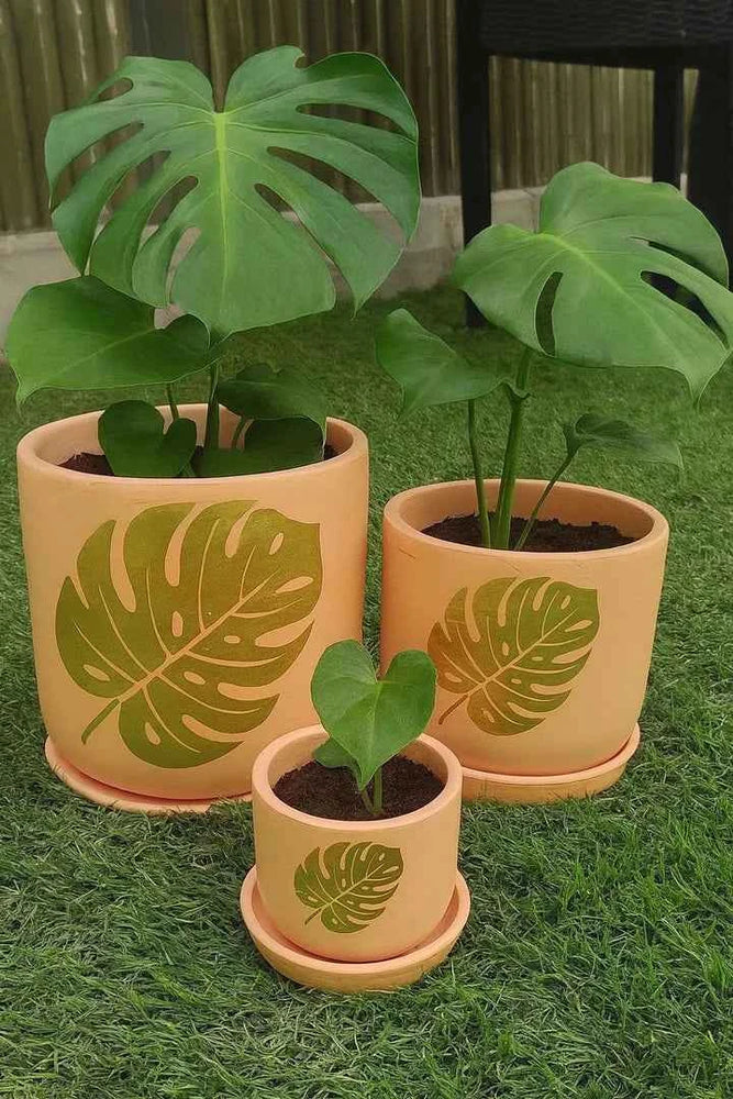 Terracotta Pots - 001