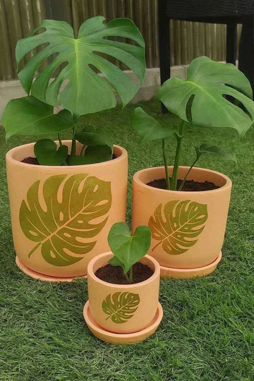 Terracotta Pots - 001