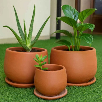 Terracotta Pots - 003