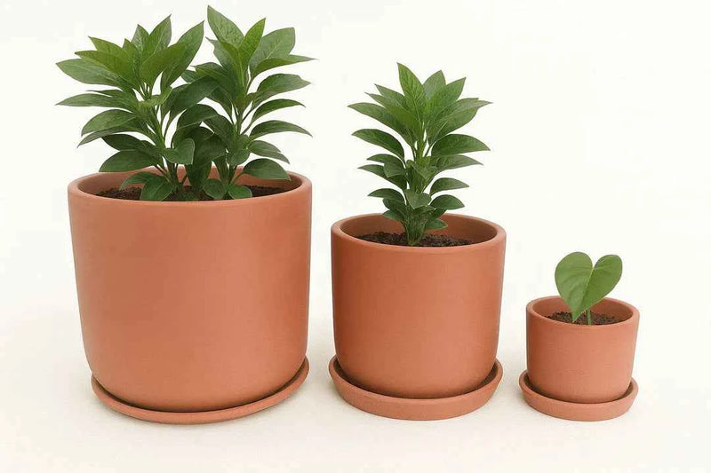 Terracotta Pots - 004