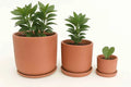 Terracotta Pots - 004