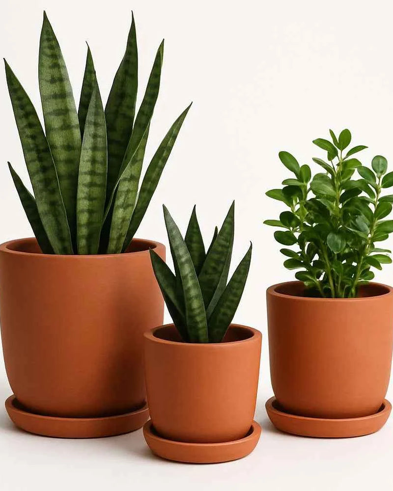 Terracotta Pots - 004