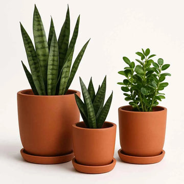 Terracotta Pots - 004