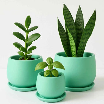 Terracotta pots - 005