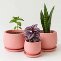 Terracotta pots - 005