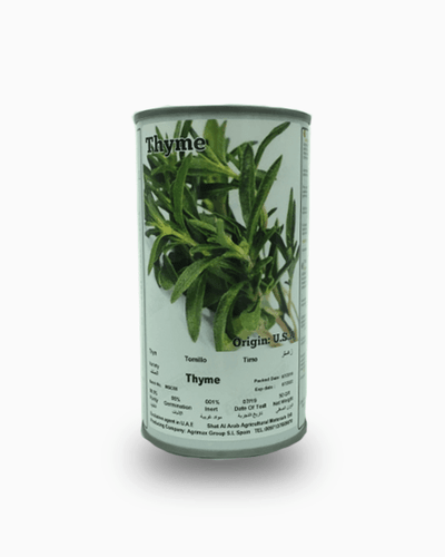 Thyme seeds tin organic Mediterranean herb seeds Dubai UAE Souq Garden