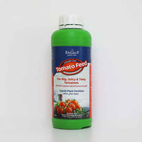 Tomato Feed