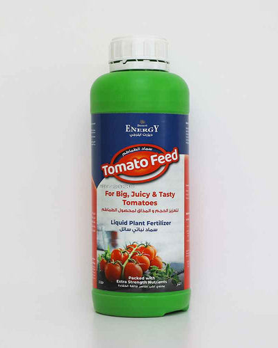 Tomato Feed