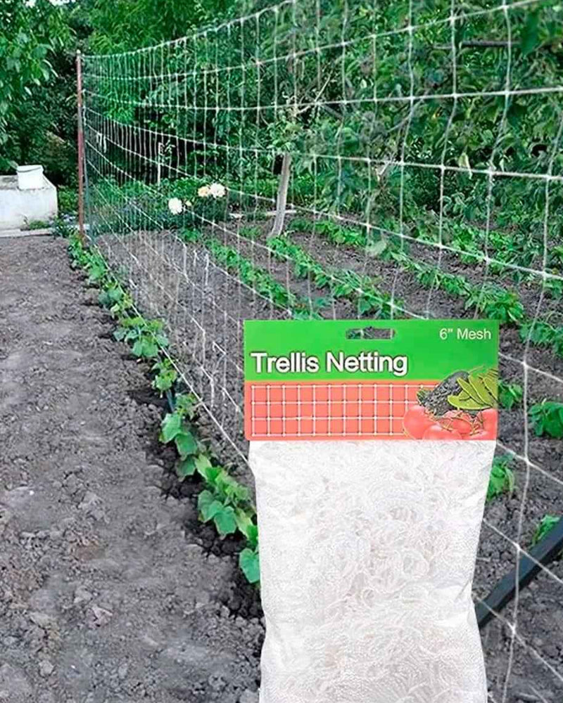 Plant Trellis