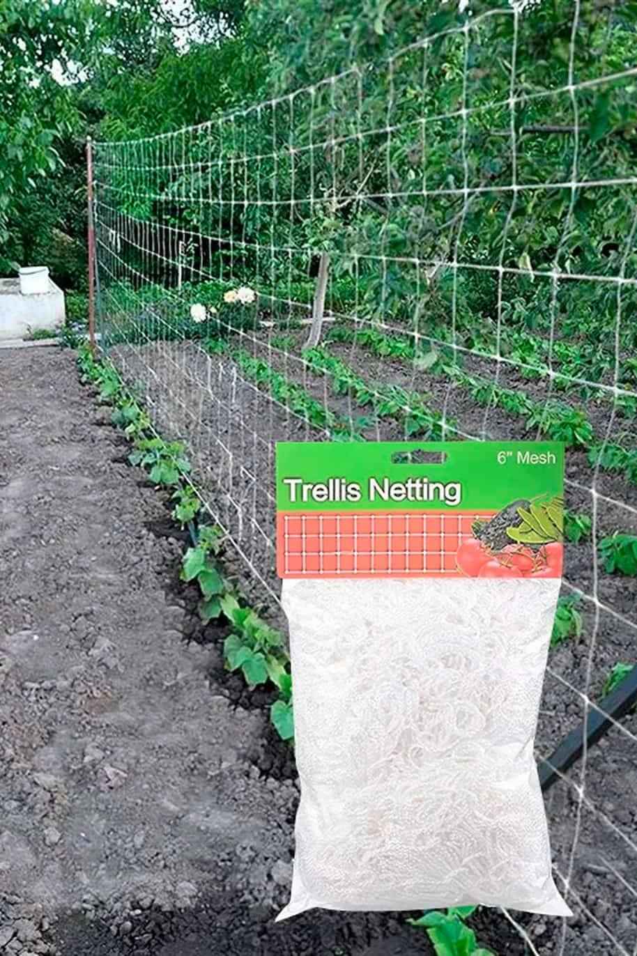 Plant Trellis