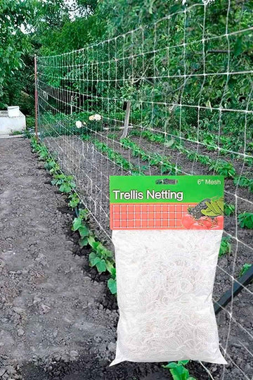 Plant Trellis