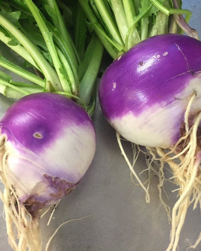 Turnip