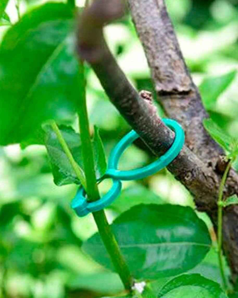 Plant Vine Strapping Clips