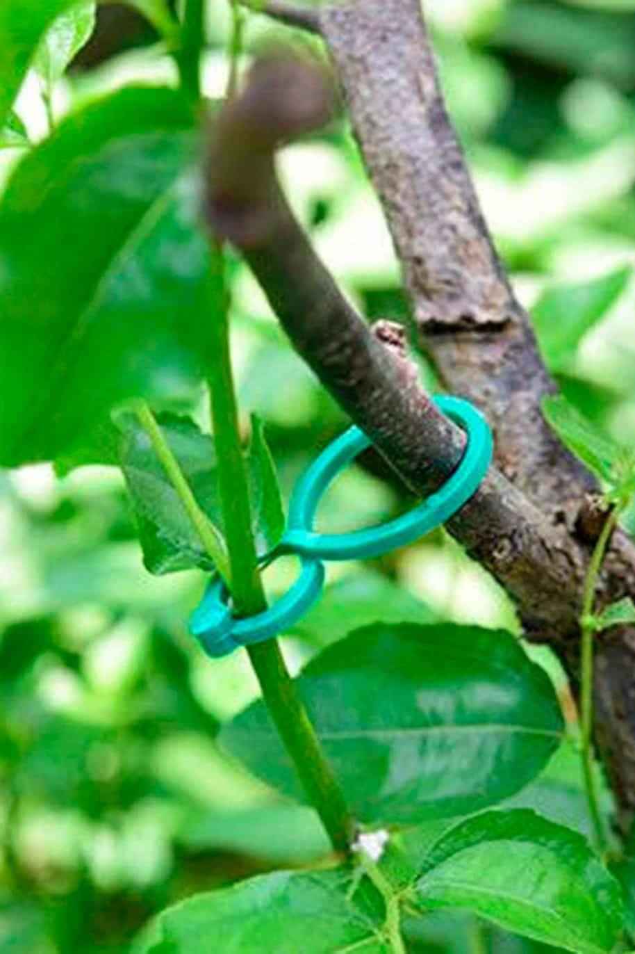 Plant Vine Strapping Clips