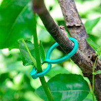Plant Vine Strapping Clips