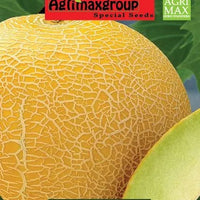 Cantaloupe Melon