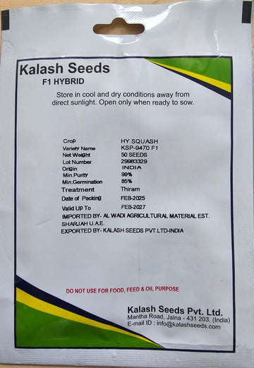 F1 Zucchini Greyzini Seeds