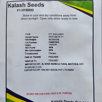 F1 Zucchini Greyzini Seeds