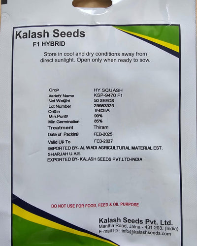 F1 Zucchini Greyzini Seeds