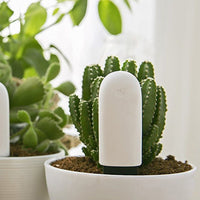 Bluetooth Plant Monitor