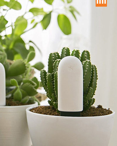 Bluetooth Plant Monitor
