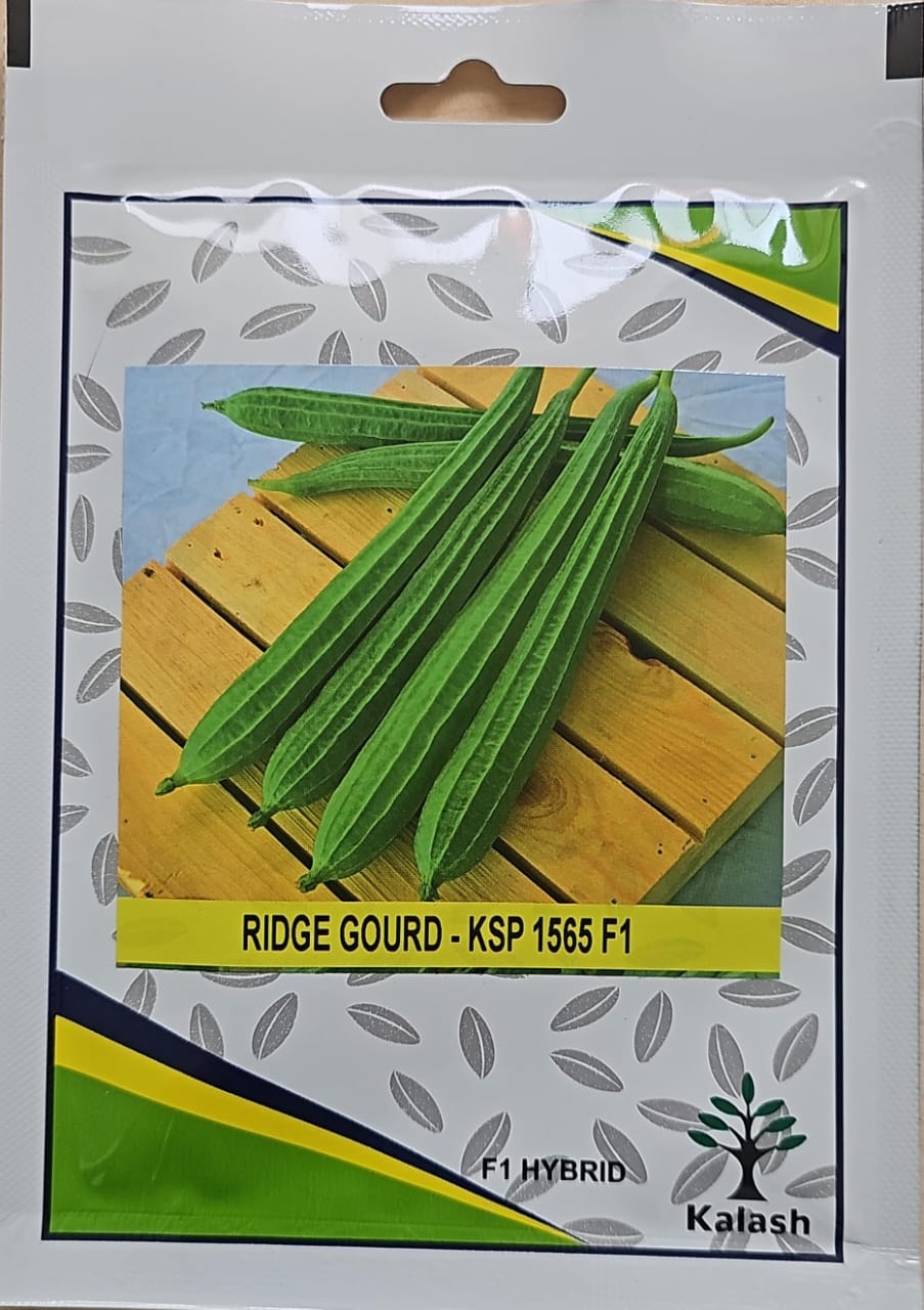 Hybrid Ridge Gourd Seeds